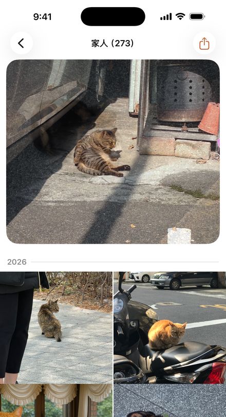 這隻：家人編年史，從第一天排到現在